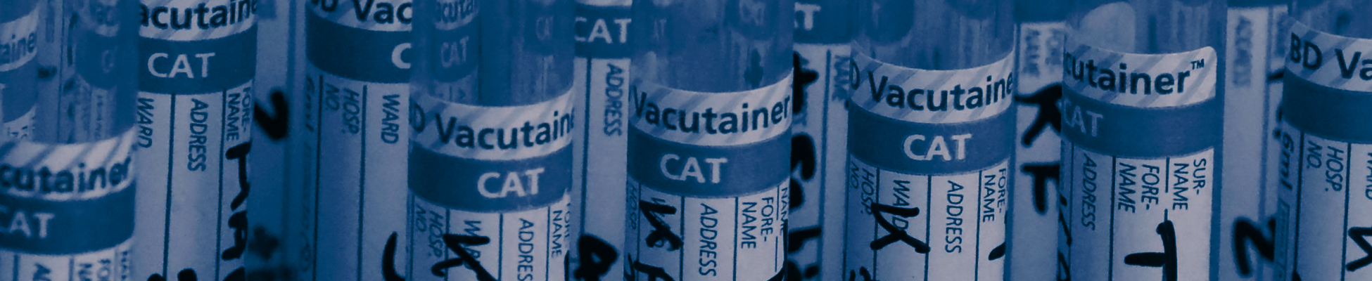 Image of vacutainer tubes Xcene Research CRO Africa